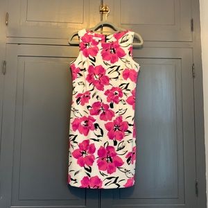 Dress Barn spring-ready sheath dress. Sz 8.  Like new!